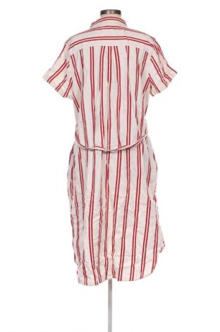 Kleid Next, Größe XXL, Farbe Mehrfarbig, Preis 25,99 €