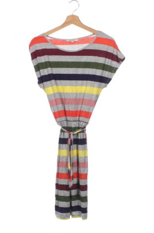 Kleid Oasis, Größe XS, Farbe Mehrfarbig, Preis 25,99 €