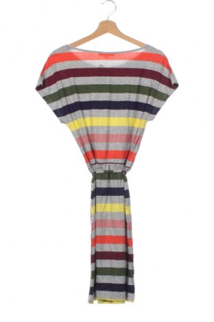 Kleid Oasis, Größe XS, Farbe Mehrfarbig, Preis 25,99 €