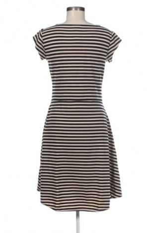 Kleid PHILOSOPHY REPUBLIC CLOTHING, Größe L, Farbe Mehrfarbig, Preis € 14,99