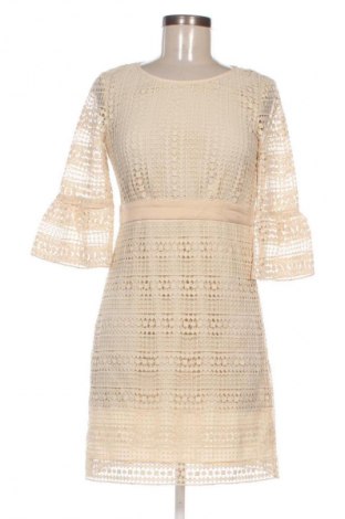 Kleid Penny Black, Größe S, Farbe Beige, Preis € 90,99