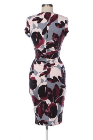 Kleid Phase Eight, Größe S, Farbe Mehrfarbig, Preis 41,99 €
