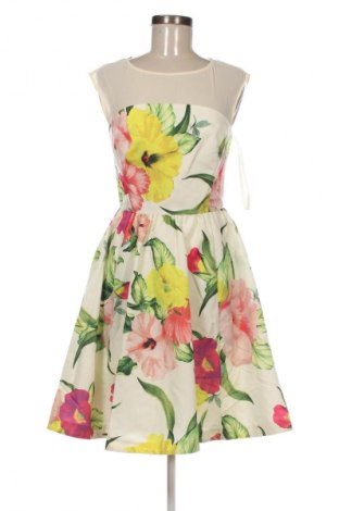 Kleid Ted Baker, Größe M, Farbe Mehrfarbig, Preis € 112,99
