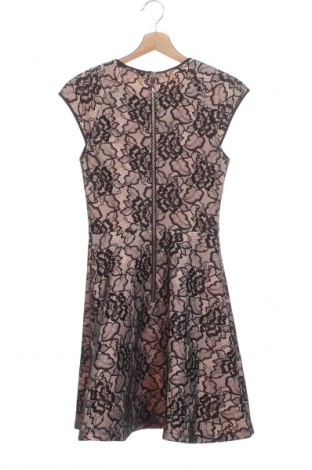 Φόρεμα Ted Baker, Μέγεθος XS, Χρώμα Πολύχρωμο, Τιμή 47,99 €