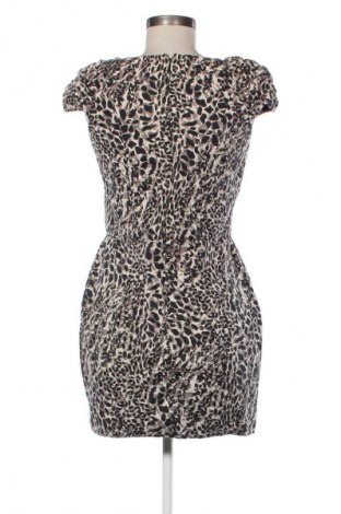 Kleid Warehouse, Größe M, Farbe Mehrfarbig, Preis € 6,99