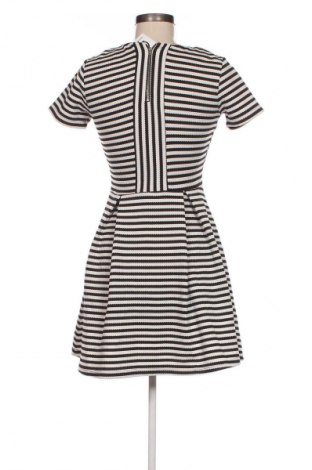 Kleid Warehouse, Größe S, Farbe Mehrfarbig, Preis € 33,99
