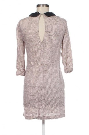 Kleid Zara Trafaluc, Größe S, Farbe Mehrfarbig, Preis 33,99 €