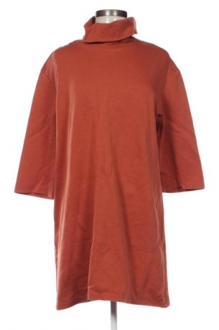 Kleid Zara Trafaluc, Größe L, Farbe Braun, Preis € 33,99