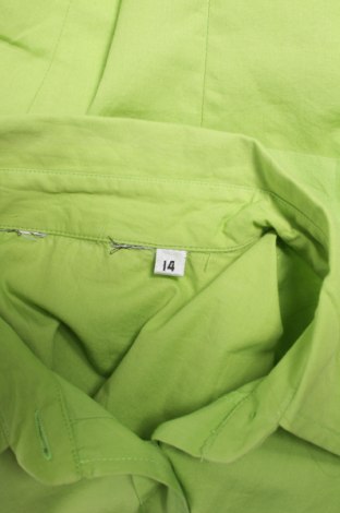 Γυναικείο πουκάμισο, Μέγεθος L, Χρώμα Πράσινο, Τιμή 11,75 €