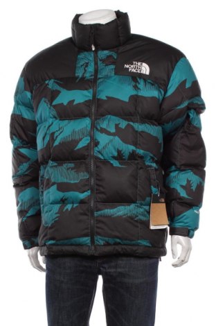 Ανδρικό μπουφάν The North Face, Μέγεθος L, Χρώμα Πολύχρωμο, Τιμή 209,28 €
