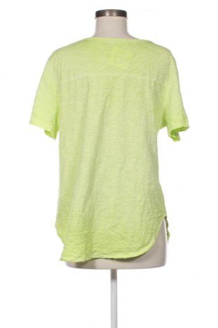 Γυναικεία μπλούζα, Μέγεθος XL, Χρώμα Πράσινο, Τιμή 4,82 €