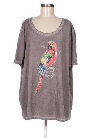 Γυναικεία μπλούζα, Μέγεθος XXL, Χρώμα Γκρί, Τιμή 7,05 €