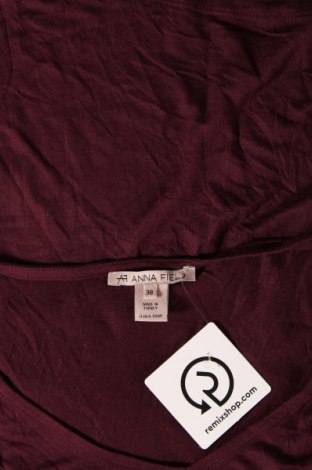 Γυναικεία μπλούζα Anna Field, Μέγεθος M, Χρώμα Βιολετί, Τιμή 4,70 €