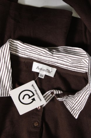 Γυναικεία μπλούζα Antonelle, Μέγεθος M, Χρώμα Καφέ, Τιμή 7,70 €