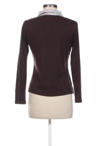 Γυναικεία μπλούζα Antonelle, Μέγεθος M, Χρώμα Καφέ, Τιμή 5,12 €
