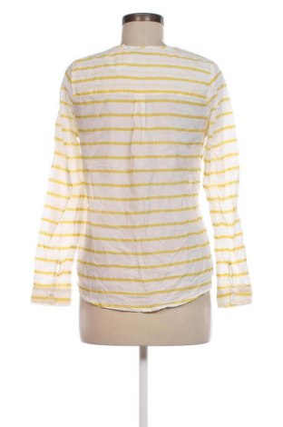Γυναικεία μπλούζα Broadway, Μέγεθος XS, Χρώμα Πολύχρωμο, Τιμή 2,47 €