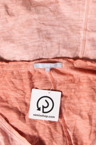 Damen Shirt Cecil, Größe XXL, Farbe Rosa, Preis 16,70 €