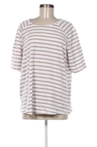 Γυναικεία μπλούζα Claire, Μέγεθος XL, Χρώμα Πολύχρωμο, Τιμή 27,72 €