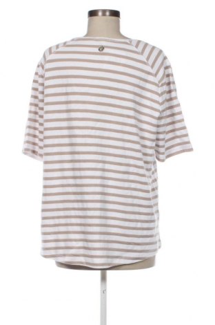 Γυναικεία μπλούζα Claire, Μέγεθος XL, Χρώμα Πολύχρωμο, Τιμή 26,05 €