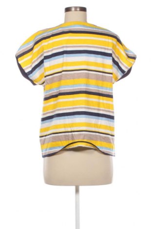 Damen Shirt Collection L, Größe L, Farbe Mehrfarbig, Preis € 10,00