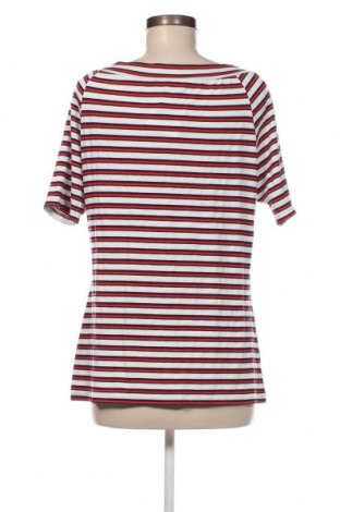 Damen Shirt Comma,, Größe L, Farbe Mehrfarbig, Preis 14,20 €