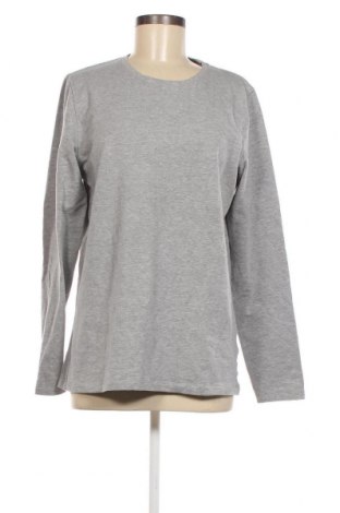 Γυναικεία μπλούζα Crane, Μέγεθος L, Χρώμα Γκρί, Τιμή 6,35 €