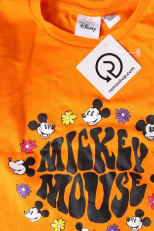 Γυναικεία μπλούζα Disney, Μέγεθος XS, Χρώμα Πορτοκαλί, Τιμή 11,75 €