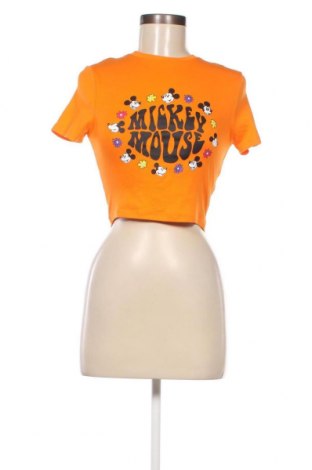 Γυναικεία μπλούζα Disney, Μέγεθος XS, Χρώμα Πορτοκαλί, Τιμή 4,58 €