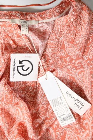 Γυναικεία μπλούζα Esprit, Μέγεθος XS, Χρώμα Πολύχρωμο, Τιμή 3,71 €