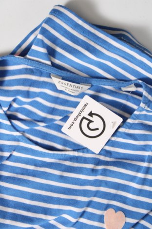 Γυναικεία μπλούζα Essentials by Tchibo, Μέγεθος M, Χρώμα Μπλέ, Τιμή 11,75 €