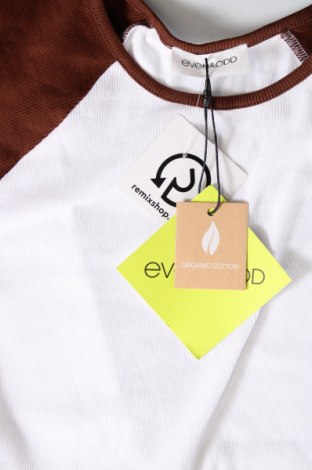 Γυναικεία μπλούζα Even&Odd, Μέγεθος XL, Χρώμα Πολύχρωμο, Τιμή 4,63 €
