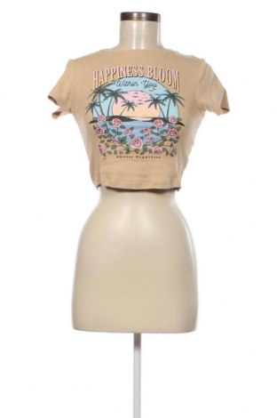 Γυναικεία μπλούζα Fb Sister, Μέγεθος XS, Χρώμα Καφέ, Τιμή 4,70 €