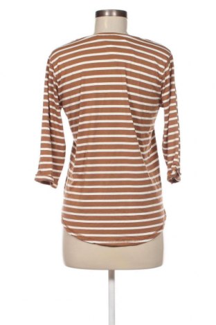 Γυναικεία μπλούζα Fransa, Μέγεθος S, Χρώμα Πολύχρωμο, Τιμή 4,75 €