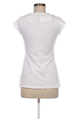 Γυναικεία μπλούζα Gang, Μέγεθος XS, Χρώμα Λευκό, Τιμή 25,24 €