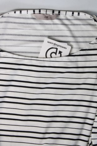 Γυναικεία μπλούζα H&M, Μέγεθος XL, Χρώμα Πολύχρωμο, Τιμή 4,35 €