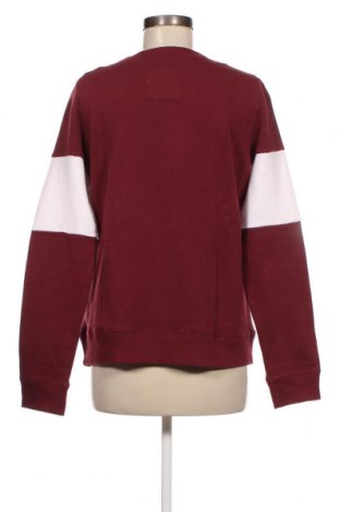 Γυναικεία μπλούζα Hollister, Μέγεθος L, Χρώμα Κόκκινο, Τιμή 14,84 €