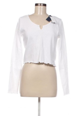 Damen Shirt Hollister, Größe XL, Farbe Weiß, Preis € 5,57