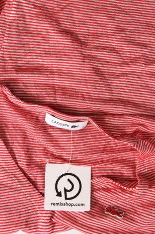 Γυναικεία μπλούζα Lacoste, Μέγεθος S, Χρώμα Κόκκινο, Τιμή 33,40 €