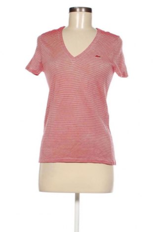 Damen Shirt Lacoste, Größe S, Farbe Rot, Preis 22,55 €