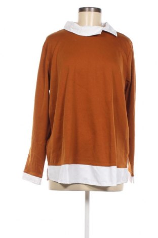 Γυναικεία μπλούζα Linea Tesini, Μέγεθος XXL, Χρώμα Καφέ, Τιμή 12,25 €