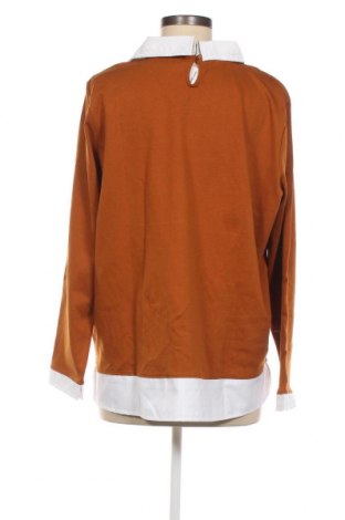 Дамска блуза Linea Tesini, Размер XXL, Цвят Кафяв, Цена 23,76 лв.