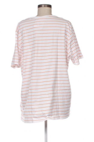 Γυναικεία μπλούζα Okay, Μέγεθος 4XL, Χρώμα Πολύχρωμο, Τιμή 10,00 €