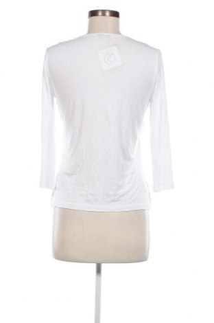 Γυναικεία μπλούζα Peter Hahn, Μέγεθος S, Χρώμα Λευκό, Τιμή 11,99 €