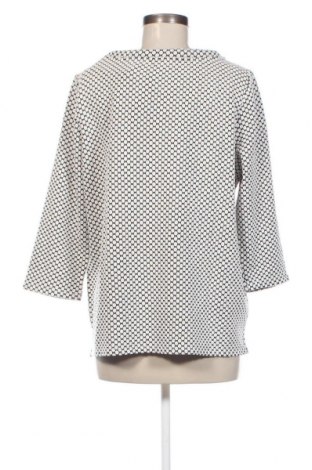 Γυναικεία μπλούζα S.Oliver Black Label, Μέγεθος XL, Χρώμα Πολύχρωμο, Τιμή 36,00 €