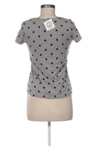 Damen Shirt Scotch & Soda, Größe S, Farbe Grau, Preis € 4,13
