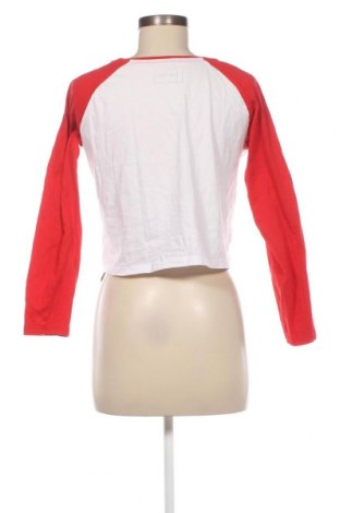 Damen Shirt Sinsay, Größe M, Farbe Mehrfarbig, Preis 1,98 €