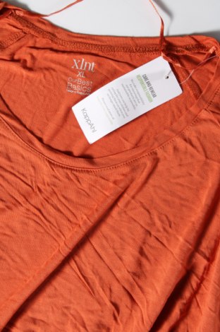 Γυναικεία μπλούζα Xlnt, Μέγεθος XL, Χρώμα Πορτοκαλί, Τιμή 17,82 €