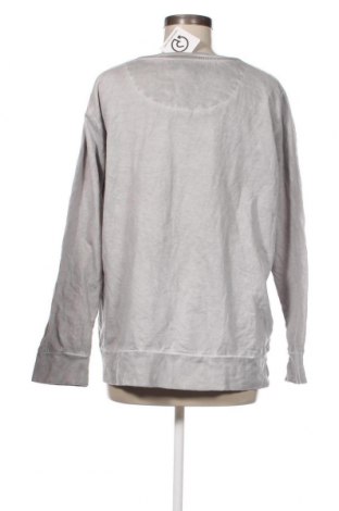 Γυναικεία μπλούζα Young Spirit, Μέγεθος XXL, Χρώμα Γκρί, Τιμή 12,62 €