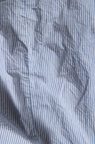 Γυναικεία μπλούζα Zara, Μέγεθος XL, Χρώμα Πολύχρωμο, Τιμή 10,23 €