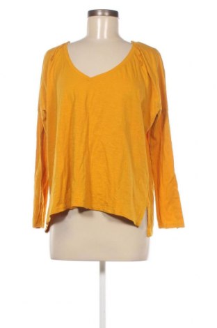 Γυναικεία μπλούζα Zara Trafaluc, Μέγεθος M, Χρώμα Κίτρινο, Τιμή 21,12 €